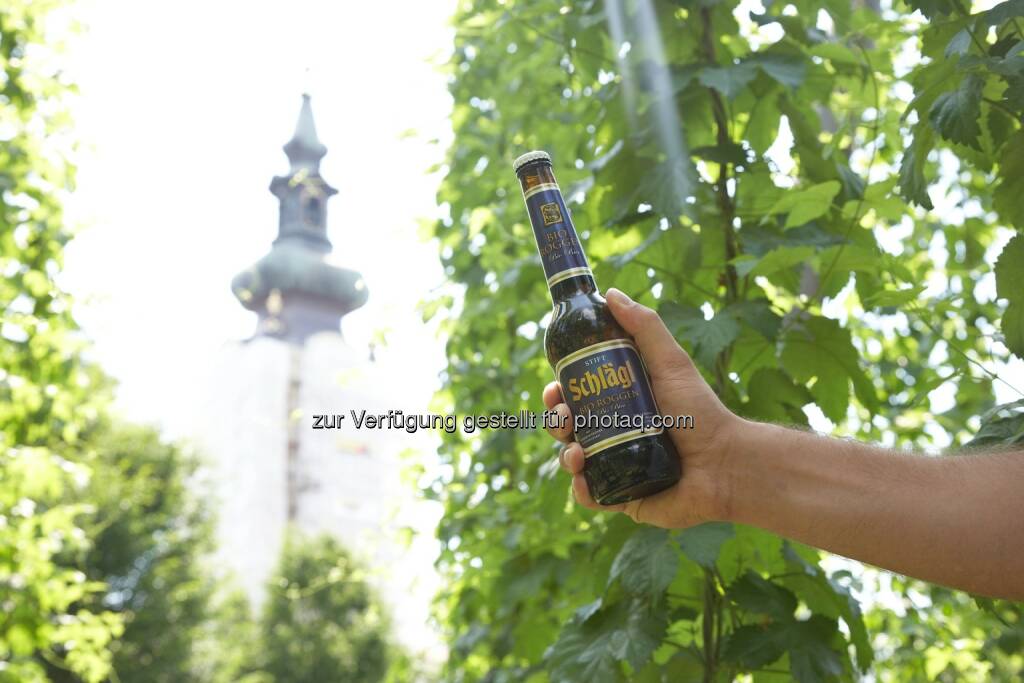 Stift Schlägl : Klösterreich: Wein- und Bierkultur von Weltruf! : Stiftsweine und Stiftsbier aus alten Klosterkellern : Stifte und Klöster zählen seit Jahrhunderten zu Österreichs wichtigsten Kulturträgern und haben auch in Österreich die Wein- und Bierkultur entscheidend mitgeprägt. 22 Klöster und Stifte der Vereinigung Klösterreich öffnen für Gäste ihre Pforten : Fotocredit: Stift Schlägl / Klösterreich, © Aussender (21.09.2015)