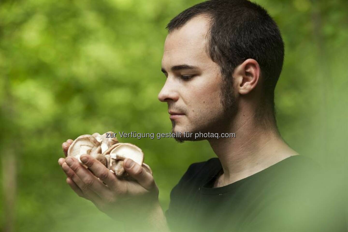 Mark Stuettler (Gründer der Mushroom Production Center GmbH) : Crowdfunding für Ausbau der industriellen Produktion für Bio-Vital-Pilze, die in der Nahrungsmittel- und Pharmaindustrie verwendet werden, wenden sich die Tyroler Glückspilze® erneut an die Crowd auf greenrocket.com : © Scholz + Partner 