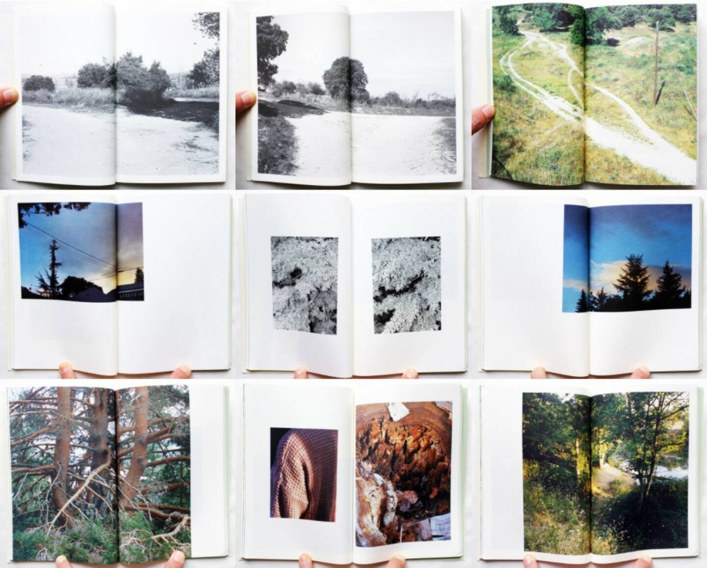 Raúl Hernández - Riverbed, BlackMountain Books 2015, Beispielseiten, sample spreads - http://josefchladek.com/book/raul_hernandez_-_riverbed
