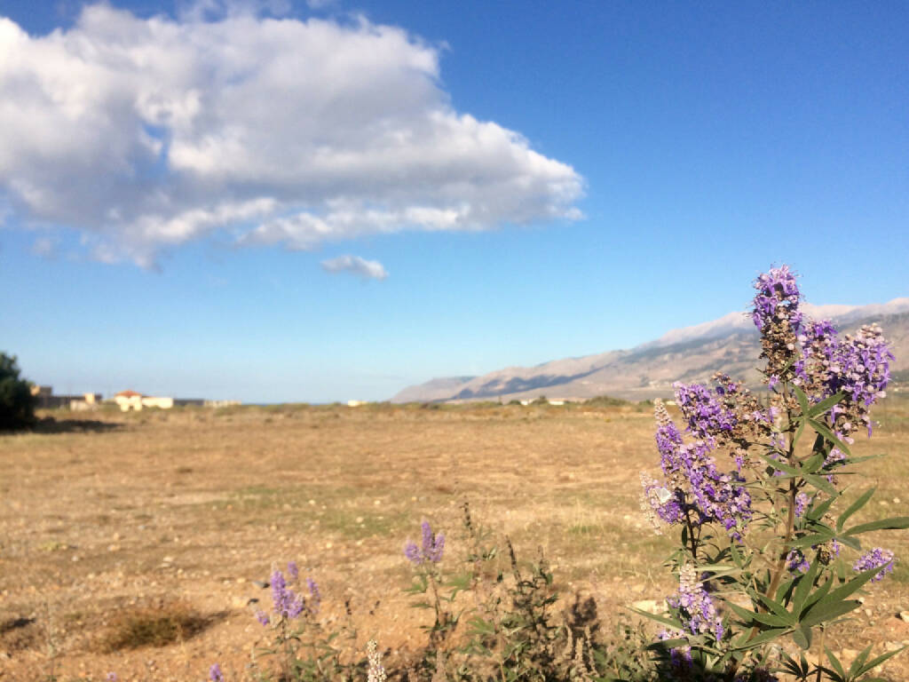 Kreta, Griechenland, © Martina Draper (14.10.2015) 
