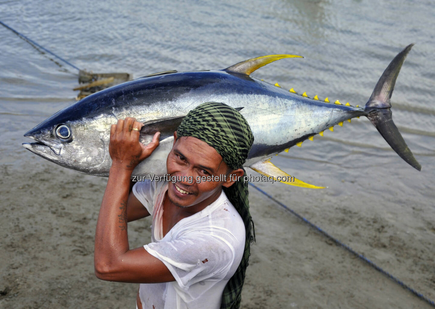 WWF zum Welternährungstag: Überfischung bedroht Mensch und Natur, Thunfisch (Bild: Gregg Yan / WWF)
