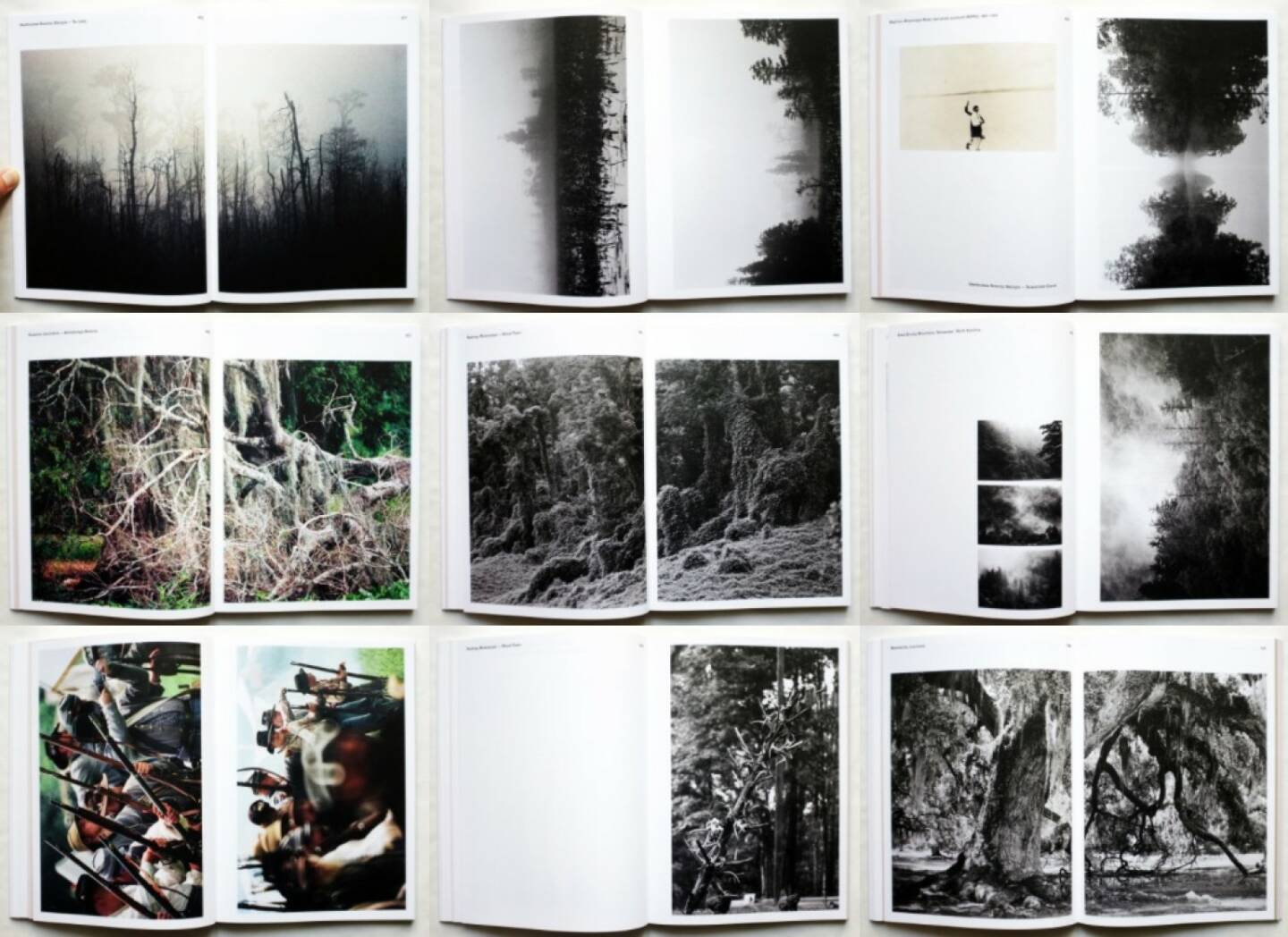 Sanne Peper - Due to Lack of Interest Tomorrow has been Cancelled, Lecturis 2015, Beispielseiten, sample spreads - http://josefchladek.com/book/sanne_peper_-_due_to_lack_of_interest_tomorrow_has_been_cancelled