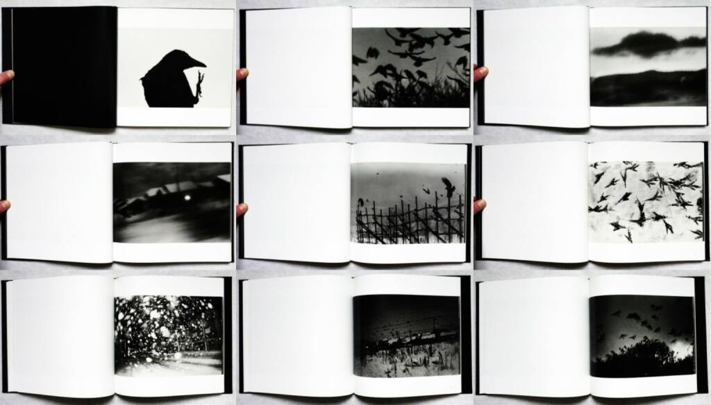 Masahisa Fukase - Karasu (The Solitude of Ravens), Rat Hole gallery 2008, Beispielseiten, sample spreads - 
http://josefchladek.com/book/masahisa_fukase_-_karasu_the_solitude_of_ravens, © (c) josefchladek.com (08.11.2015)