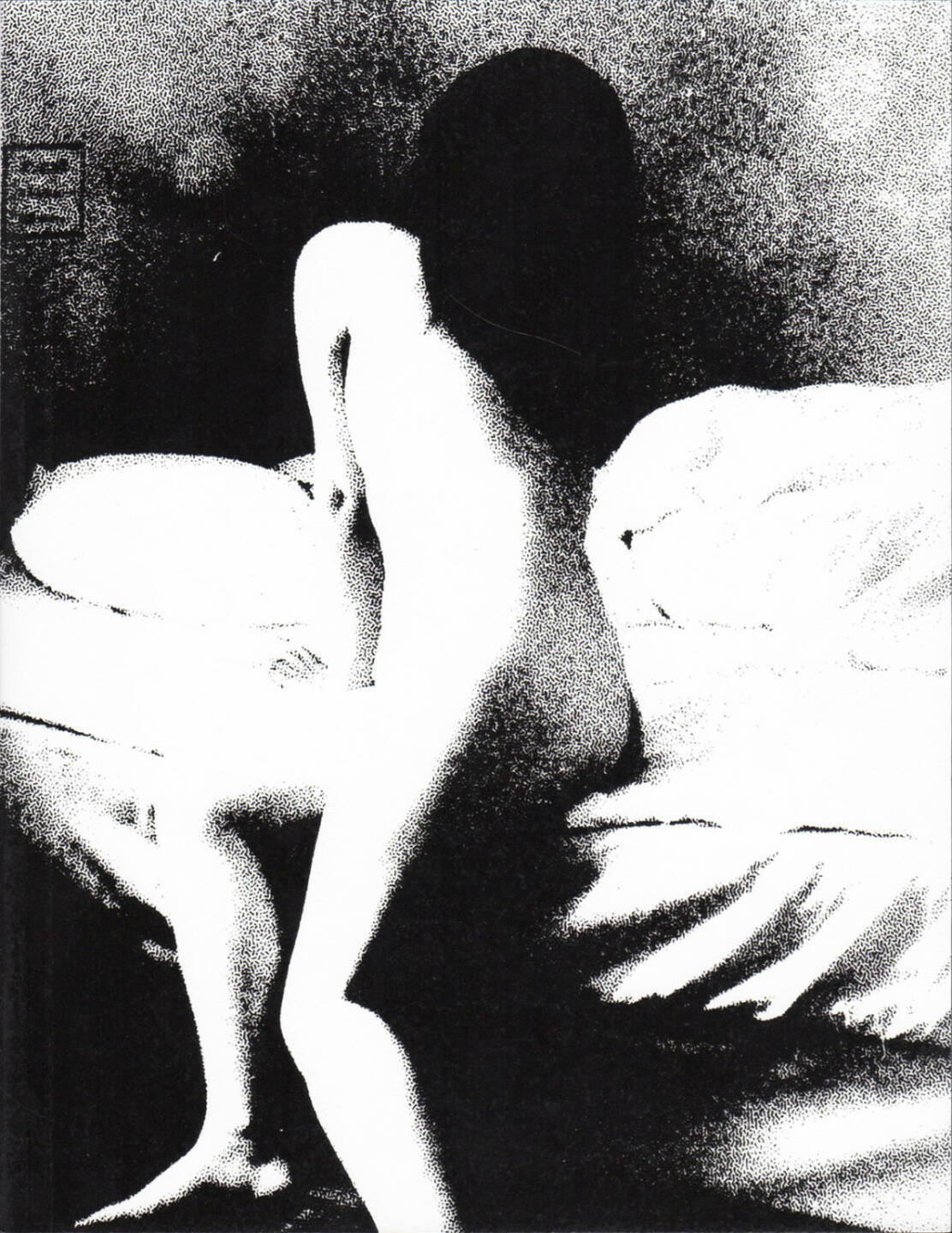 Daisuke Yokota - Taratine (横田大輔 - 垂乳根）, Session Press 2015, Cover - http://josefchladek.com/book/daisuke_yokota_-_taratine