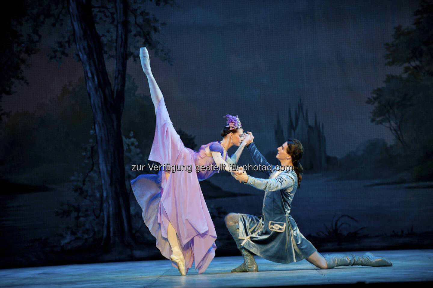 Am 22. November 2013 kommt der märchenhafte Ballettklassiker Dornröschen vom St. Petersburg Festival Ballet Ensemble in die WIener Stadthalle