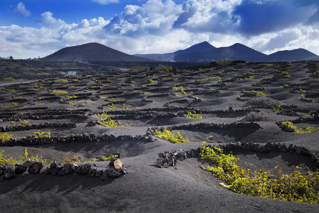 Lanzarote La Geria Weingut, schwarz, Lava, kanarische Inseln, http://www.shutterstock.com/de/pic-154072331/stock-photo-lanzarote-la-geria-vineyard-on-black-volcanic-soil-in-canary-islands.html, © www.shutterstock.com (25.11.2015) 