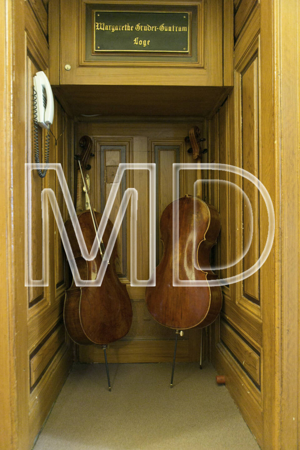 Wiener Symphoniker - Frühling in Wien 2013, Cello