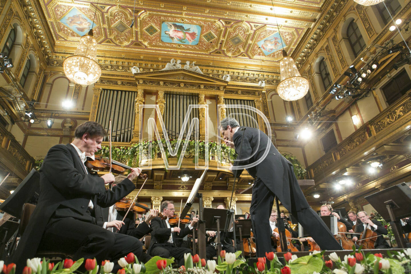 Fabio Luisi, Chefdirigent Wiener Symphoniker