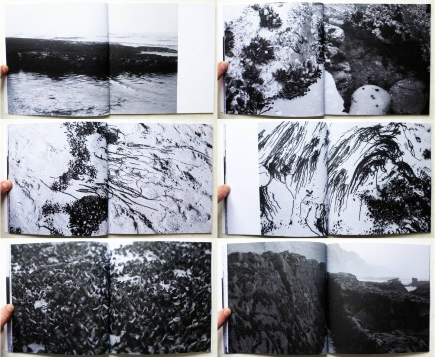 Pedro dos Reis - Sea Drawings, Self published 2015, Beispielseiten, sample spreads - http://josefchladek.com/book/pedro_dos_reis_-_sea_drawings