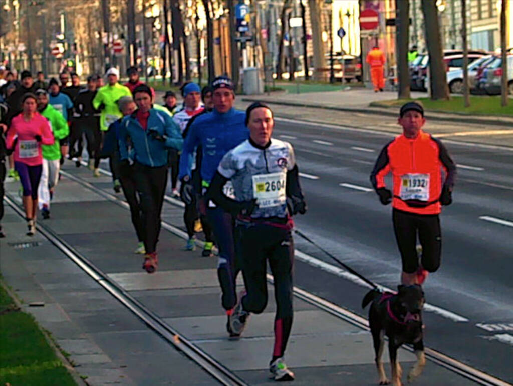 LCC Silvesterlauf 2015 (31.12.2015) 