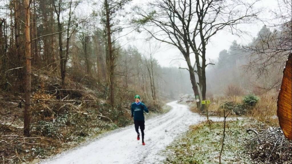 1.1.: 12k-Neujahrsrunde im Wienerwald  (01.01.2016) 