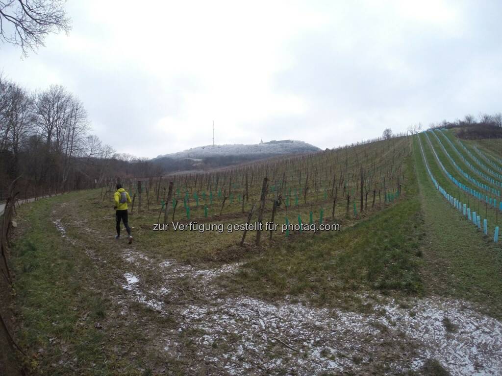 Kahlenberg (Thomas Rottenberg), © Thomas Rottenberg (03.01.2016) 