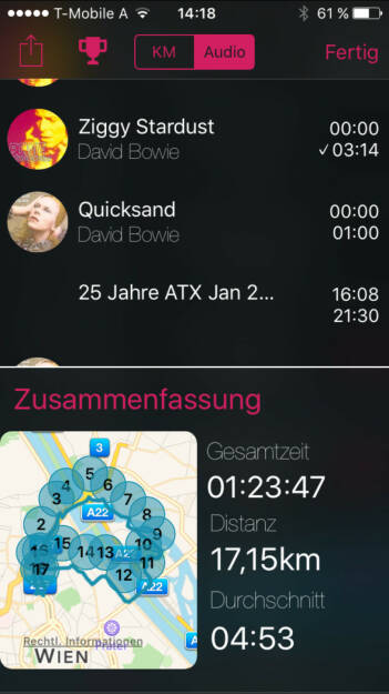 Laufen mit David Bowie (11.01.2016)