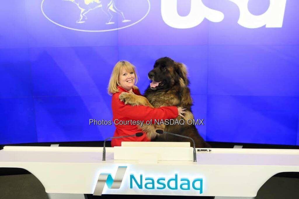 Westminster Kennel Club Dog Show rings the Closing Bell to celebrate the 140th show which will broadcast on CNBC and USA Network!   Source: http://facebook.com/NASDAQ (10.02.2016) 