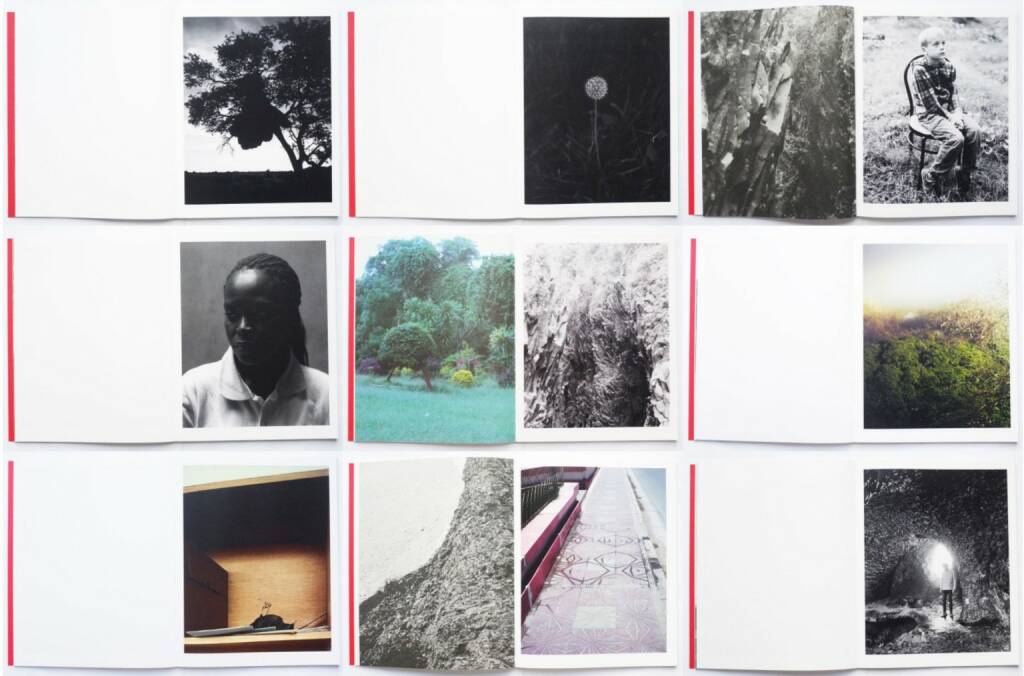 Geert Goiris - Prolifération, Roma Publications 2014, Beispielseiten, sample spreads -  http://josefchladek.com/book/geert_goiris_-_proliferation, © (c) josefchladek.com (15.02.2016) 