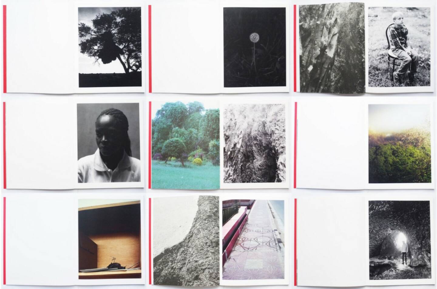 Geert Goiris - Prolifération, Roma Publications 2014, Beispielseiten, sample spreads -  http://josefchladek.com/book/geert_goiris_-_proliferation