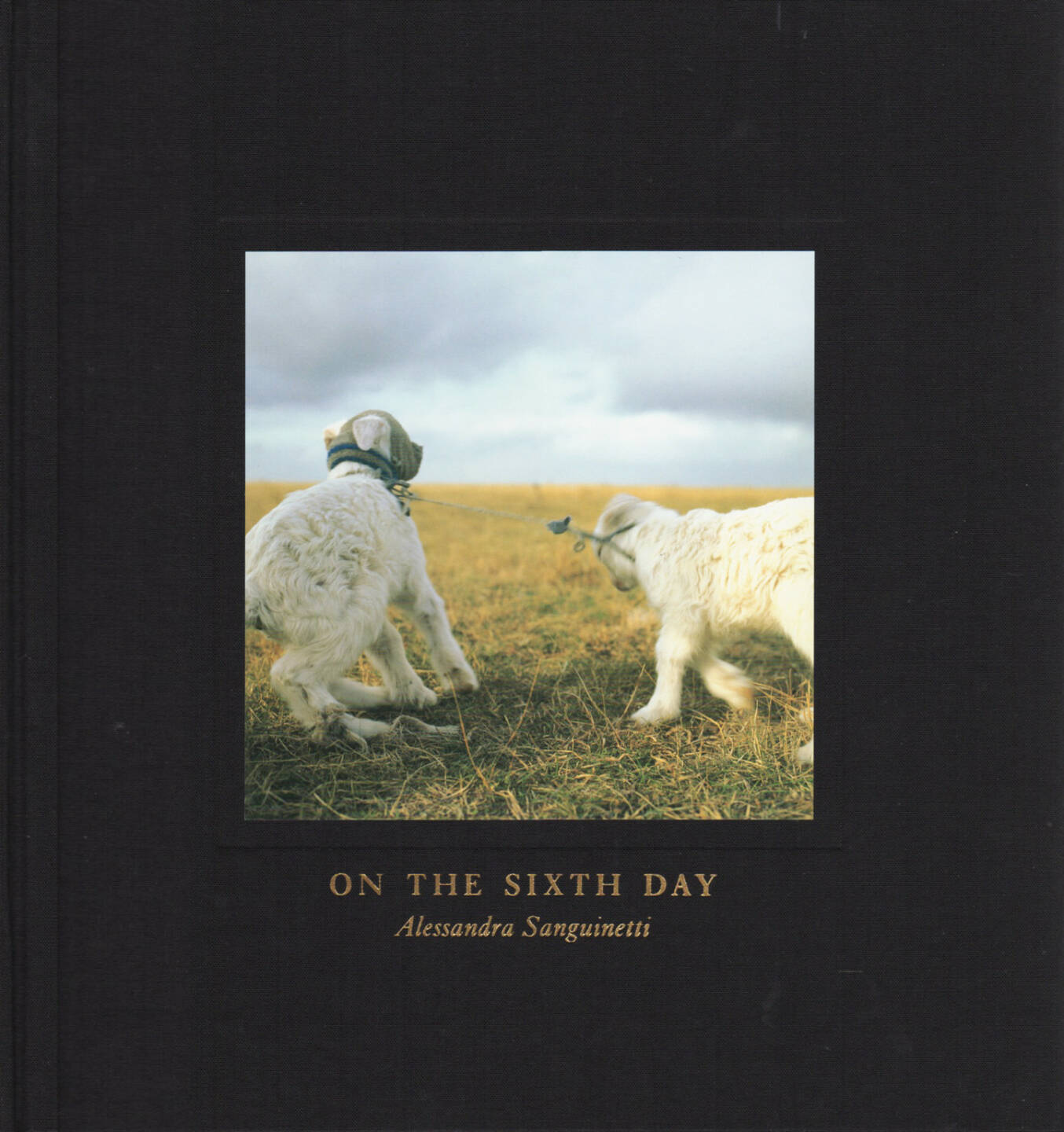 Alessandra Sanguinetti - On The Sixth Day, Nazraeli 2005, Cover - http://josefchladek.com/book/alessandra_sanguinetti_-_on_the_sixth_day