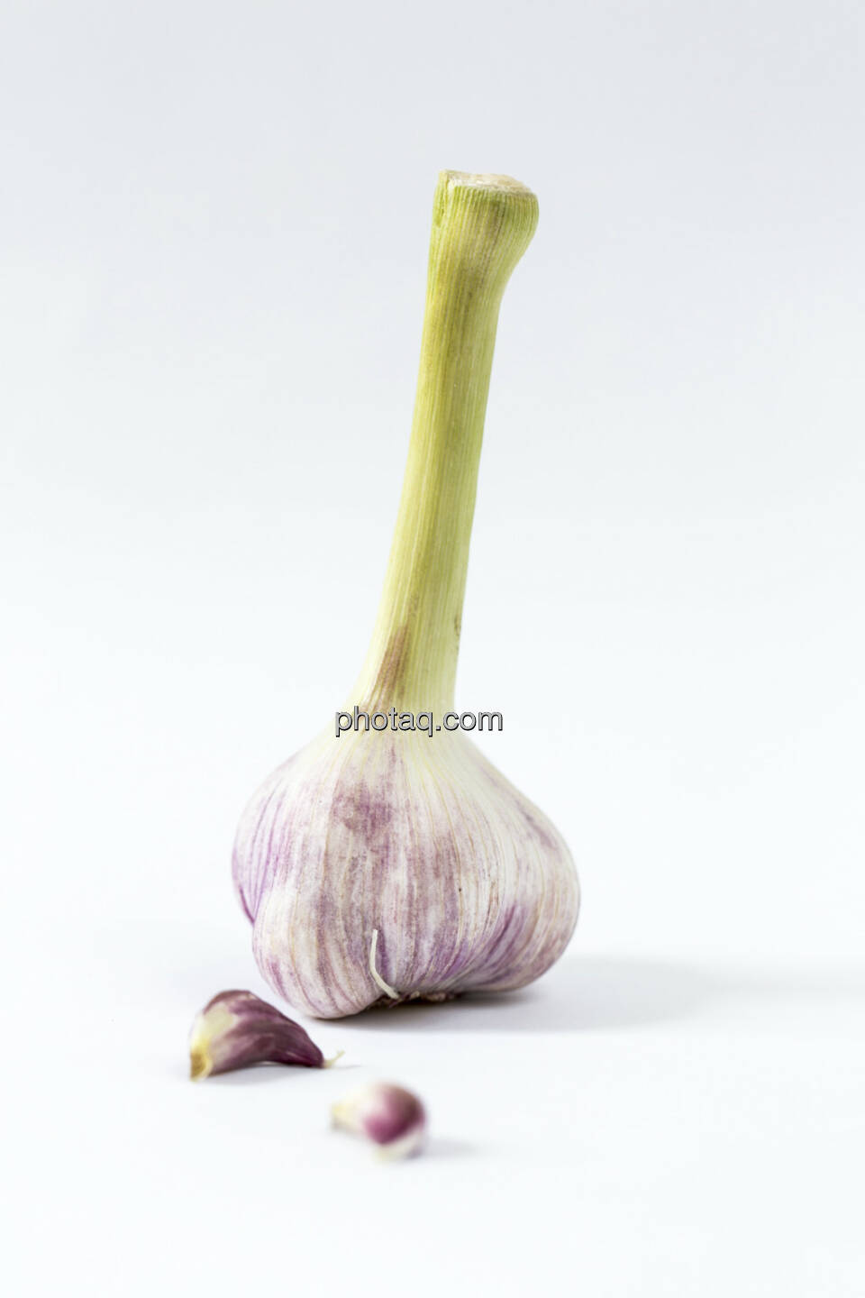 Knoblauch