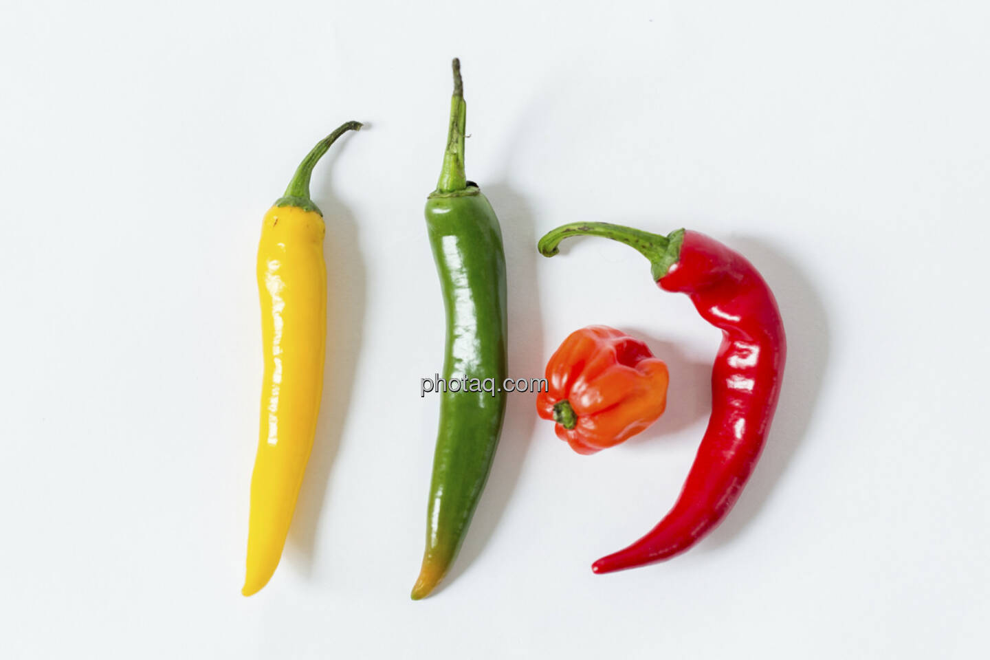 Chillies, 3 Stück, grün, gelb, orange, rot