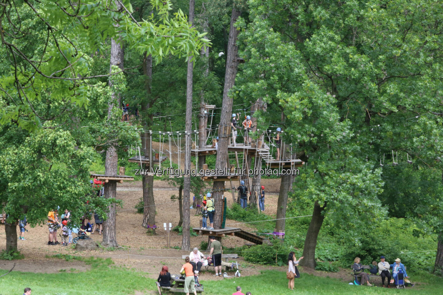 Waldseilpark Kahlenberg : Saisoneröffnung im Waldseilpark Kahlenberg : Fun, Sports & Action für Groß Und Klein : Fotocredit: HOCH4 Erlebniswelt Leopoldsberg Betriebs GmbH/Schlossko