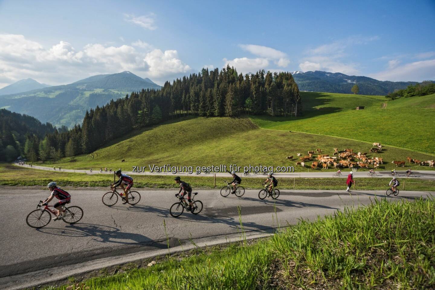 Anstieg Vorberg : 23. Amadé Radmarathon am Sonntag, den 22. Mai 2016 in Radstadt, Salzburger Land : Fotocredit: Tourismusverband Radstadt/Mandl