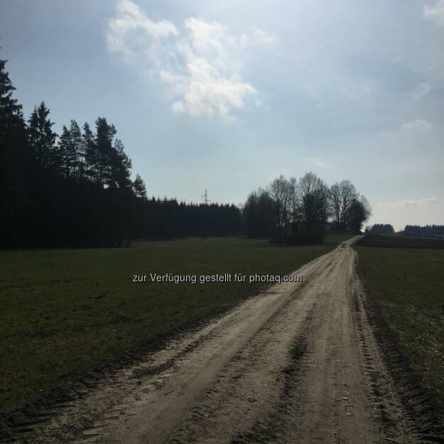 , © Angelika Altmann-Haumer (29.03.2016)