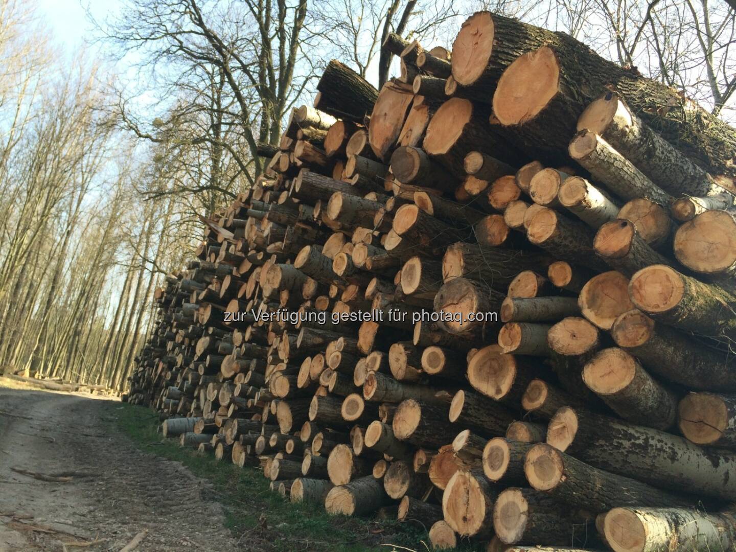 Holz, Holzstapel