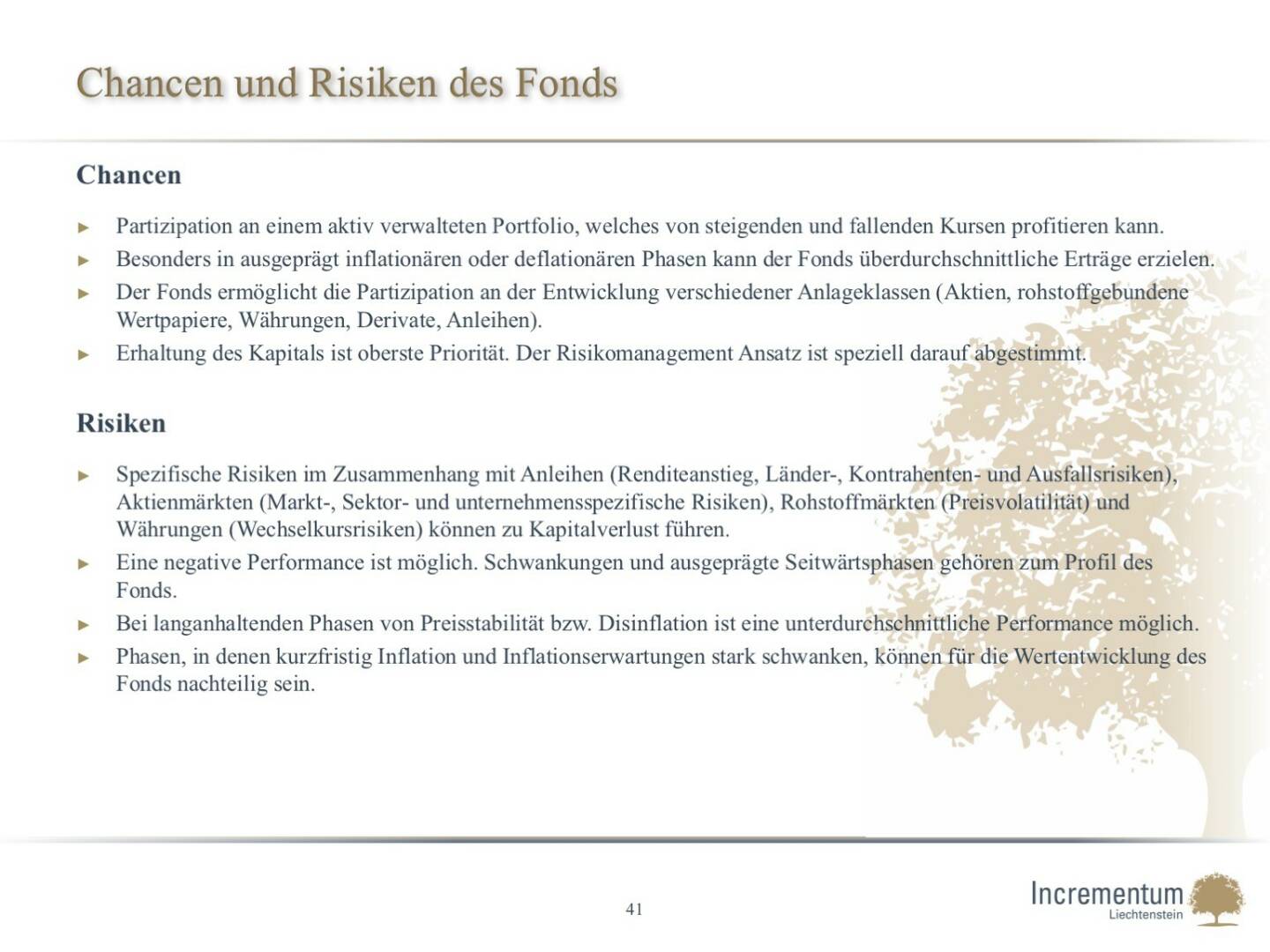 Chancen und Risiken des Fonds