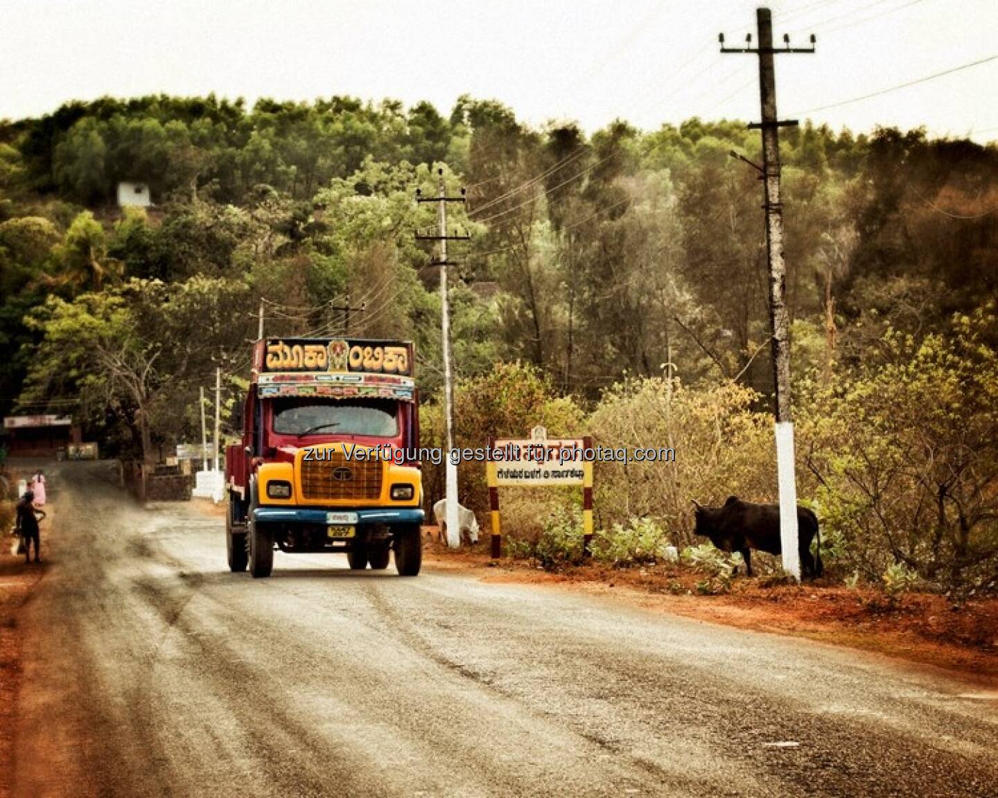 Lastwagen, Landstrasse - Indien by http://www.florap.com 