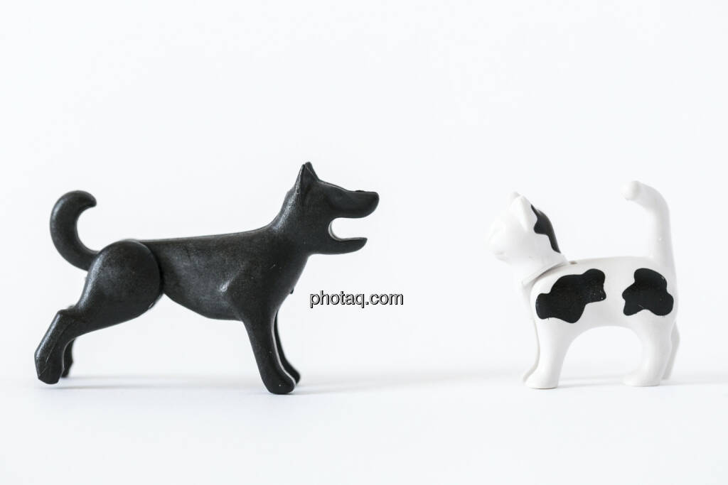 Wie Hund und Katz, Hund, Katze, Playmobil, © Martina Draper (14.04.2013)