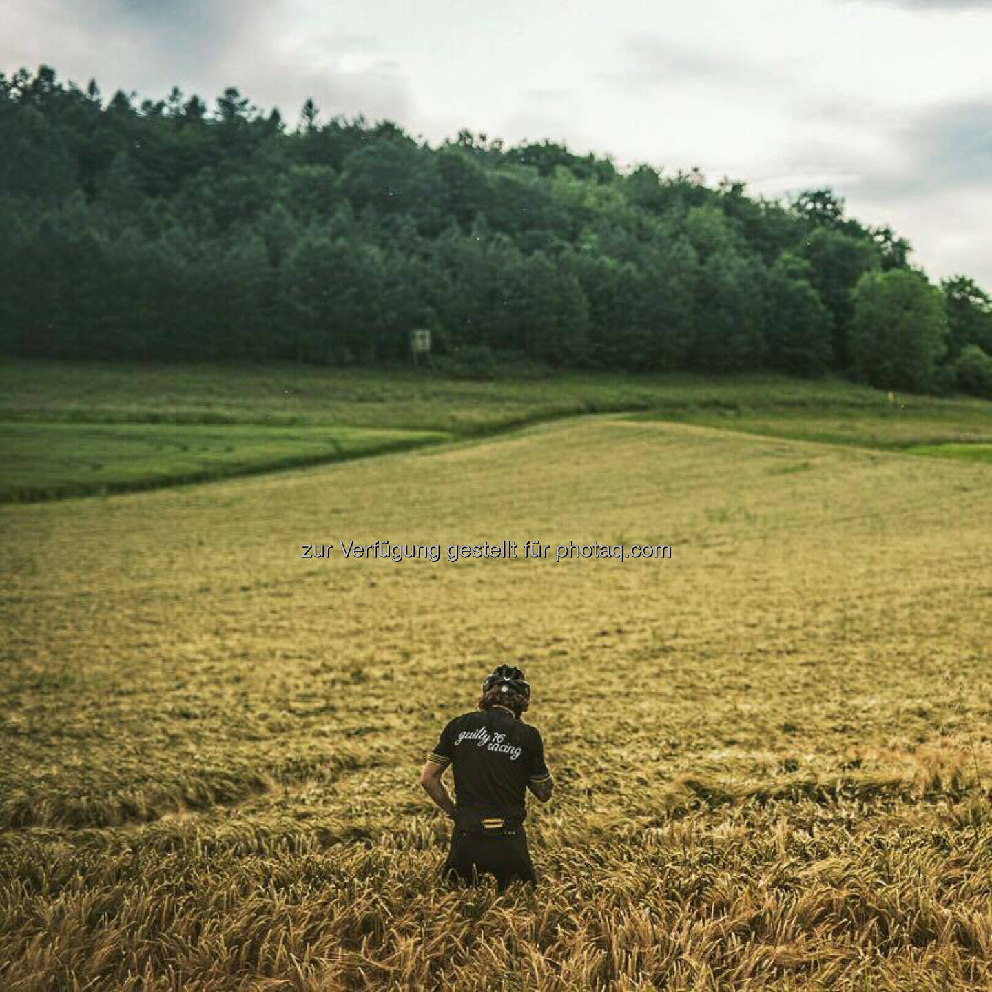 Florian Neuschwander, Feld, Getreide, Weizen (C) Foto: Sabrina Kral photography