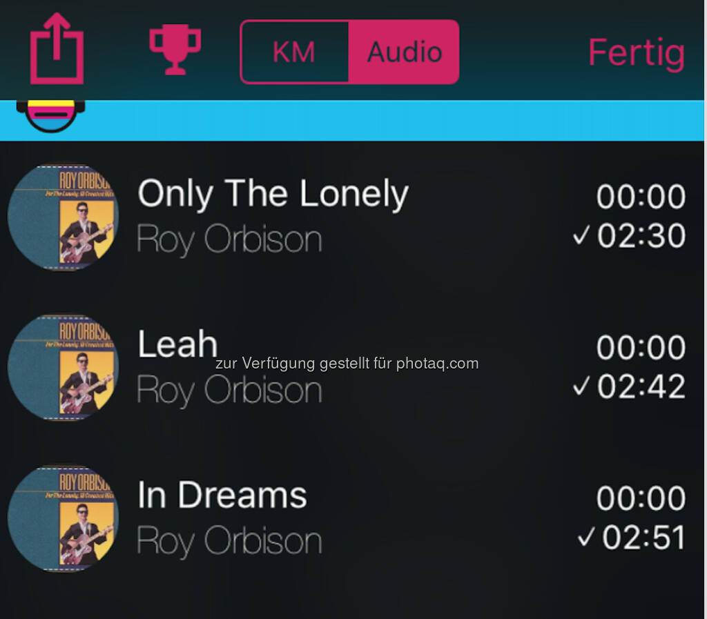 Roy Orbison (06.07.2016) 