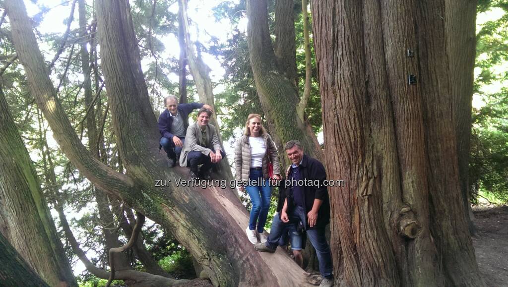 Stourhead Gardens: Gerhard Weber, Franz Gruber, Susanne Kraus-Winkler, Reinhard Kittenberger : Fachexkursion der Gärten Niederösterreichs in den Südwesten Englands : Fotocredit: conos gmbh/Harlander, © Aussender (07.07.2016) 