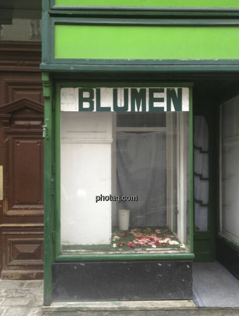 Blumen (21.04.2013) 