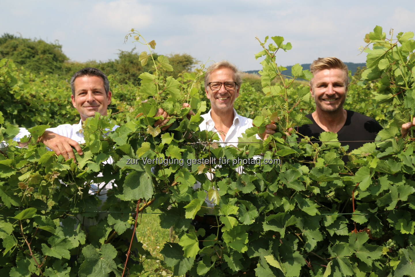 Gerhard Peller (GF Bladescape), Thomas Dolleschal (GF Bladescape), Leo Hillinger (Winzer) : Hillinger geht mit Bladescape innovative Wege im Weinbau : Fotocredit: Bladescape Airborne Service GmbH