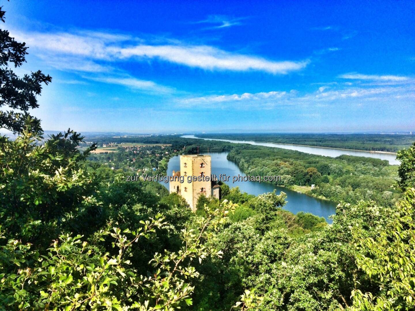 Burg Greifenstein