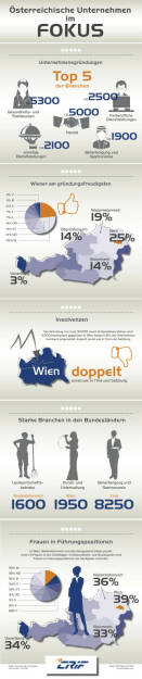 Infografik Unternehmerlandschaft in Österreich: Fotocredit: CRIF Österreich 2016 (c) moschdesign.com, © Aussender (08.08.2016) 