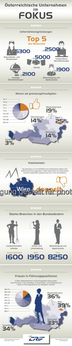 Infografik Unternehmerlandschaft in Österreich: Fotocredit: CRIF Österreich 2016 (c) moschdesign.com
