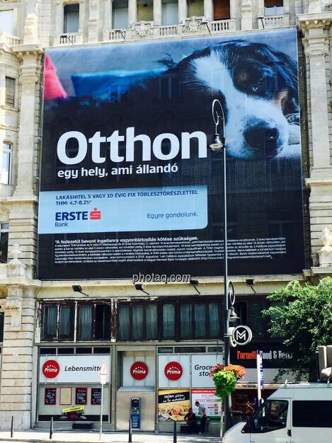 Erste Bank, Ungarn, Hund, © Josef Chladek/photaq.com (25.08.2016) 