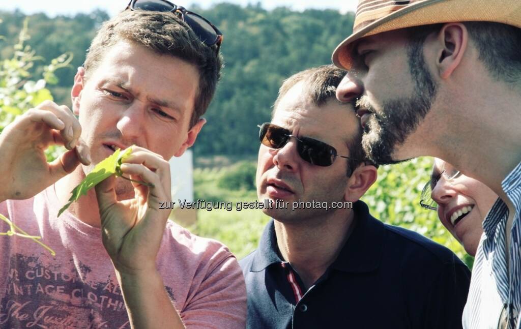 Thomas Ott (Winzer Traisental) mit amerikanischen Touristen : Faszinierende Entdeckungen : Österreichs feine Weine, erstmals ausgewählt und präsentiert von Craftwines beim Craftwines Tasteival am 2. September 2016 in der Alten Post, 1010 Wien : Fotocredit: Alexandra Thompson Photography, © Aussender (25.08.2016) 