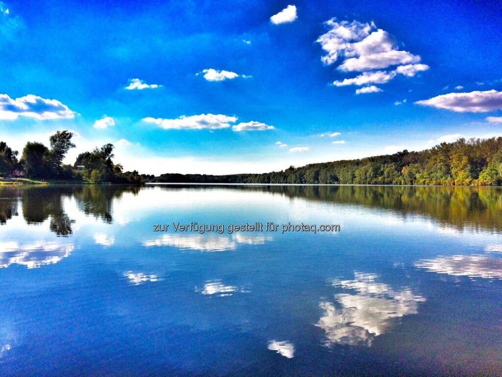 Donaualtarm Greifenstein (22.09.2016) 