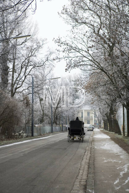 Prater, Lusthaus, Wien, © Martina Draper (15.12.2012) 