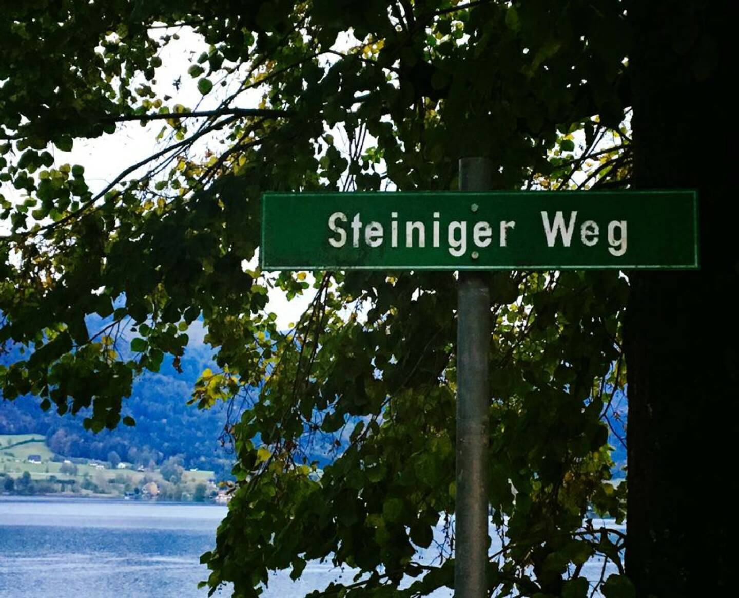 Steiniger Weg Comeback