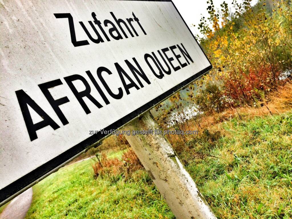 African Queen (21.10.2016) 