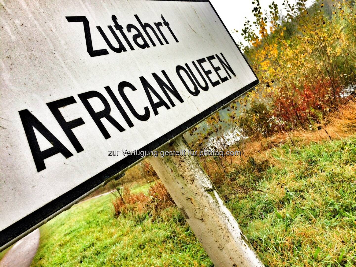 African Queen