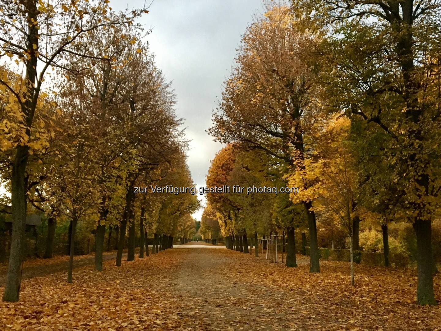 Schönbrunner Gelb #1