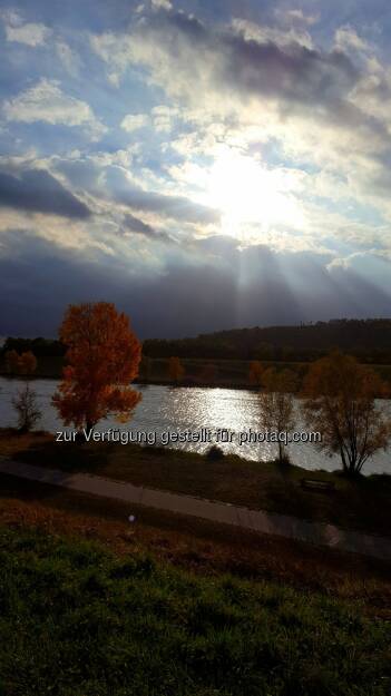 ein bissi sonne (29.10.2016) 