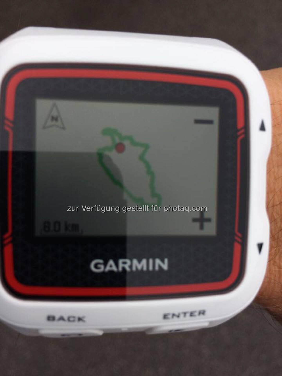 Garmin