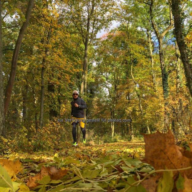 Florian Neuschwander, Herbst, © Florian Neuschwander (02.11.2016) 