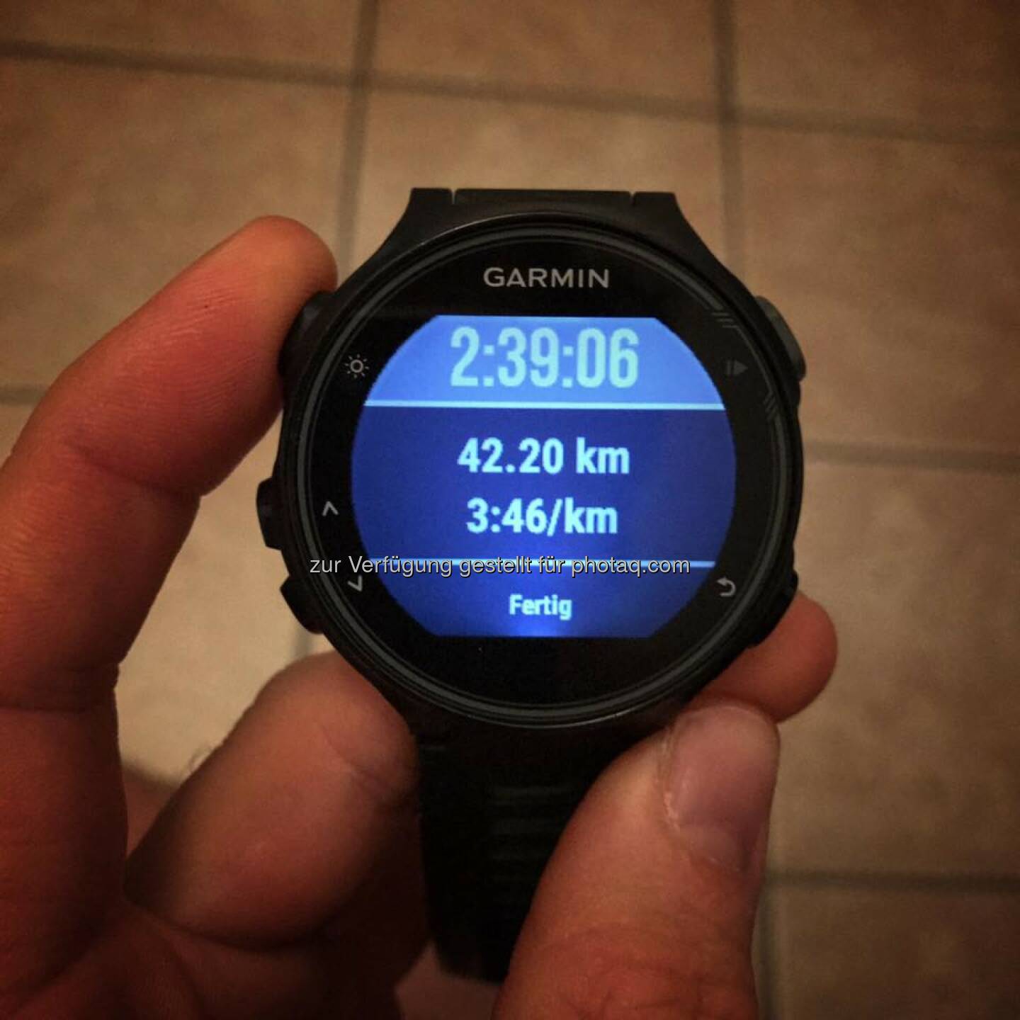 Garmin